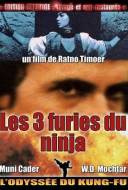 Les 3 Furies du Ninja Les 3 Furies du Ninja