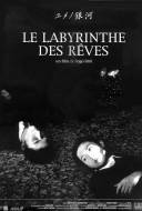 Le Labyrinthe des rêves