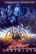 Spider labyrinth Spider labyrinth