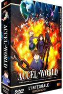 Accel World Accel World