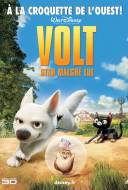 Volt: star malgré lui