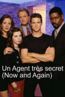 Un Agent Très Secret
