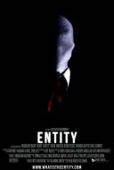 Entity