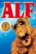 Alf