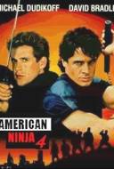 American Ninja 4