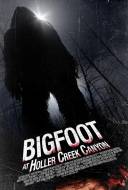 Bigfoot at Holler Creek Canyon