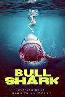 Bull Shark Bull Shark