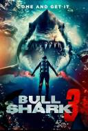 Bull Shark 3