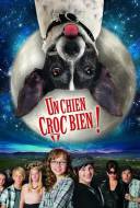 Un Chien Croc Bien Un Chien Croc Bien