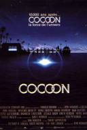 Cocoon