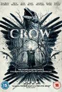 Crow Crow