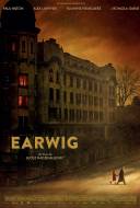 Earwig