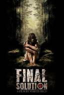 Final Solution Final Solution