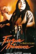 Les Paumées du Petit Matin Les Paumées du Petit Matin