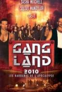 Gangland 2010
