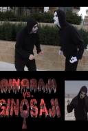 Ginosaji vs. Ginosaji Ginosaji vs. Ginosaji
