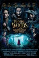 Into the Woods: Promenons-Nous dans les Bois