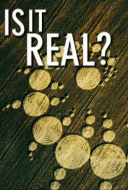 Is It Real?