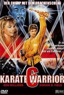 Karate Warrior 6