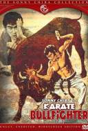 Karate Bullfighter