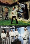 Karatekas and Co Karatekas and Co