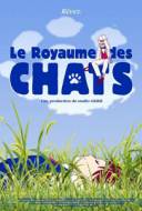 Le Royaume des Chats