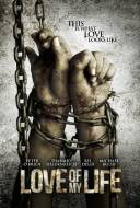 Love of my Life Love of my Life