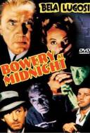 Le Monstre de minuit