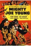 Monsieur Joe Monsieur Joe