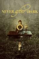Never After Dark