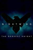 Nightwing: The Darkest Knight Nightwing: The Darkest Knight