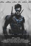 Nightwing: The Series