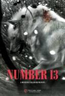 Number 13