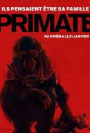 Primate Primate