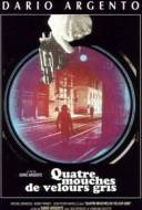 Quatre Mouches de Velours Gris