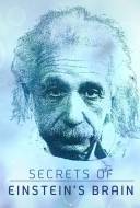 Secrets of Einstein' Brain
