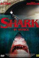 Shark in Venice