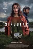Singular Singular