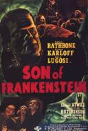 Le Fils de Frankenstein