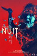 Soudain dans la Nuit