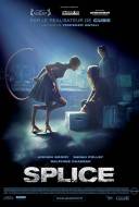 Splice