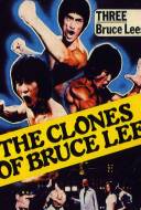 The Clones of Bruce Lee