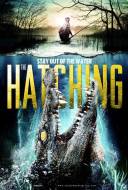 The Hatching