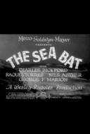 The Sea Bat