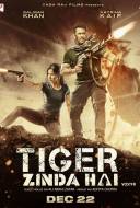 Tiger Zinda Hai