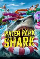 Water Park Shark Water Park Shark