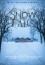 Snow Falls