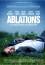 Ablations