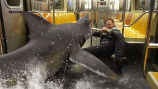 Sharknado : un prequel arrive en 2026 Sharknado : un prequel arrive en 2026