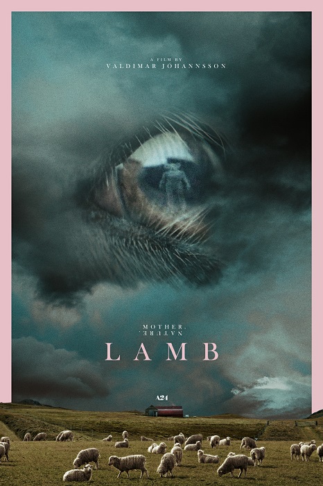 Lamb